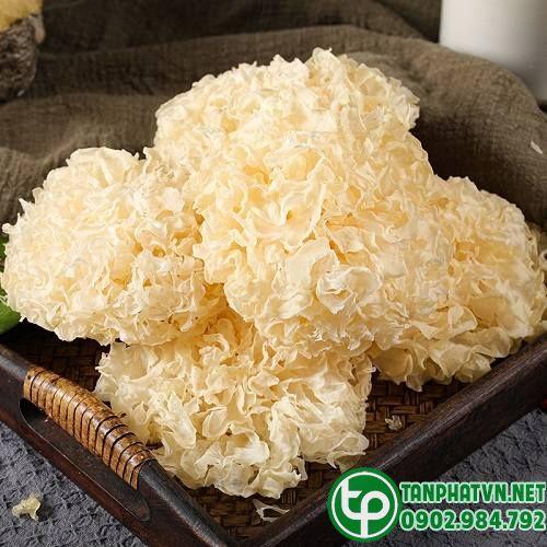 Nơi phân phối nấm tuyết khô tại Quận 2 ở đâu uy tín Nơi phân phối nấm tuyết khô tại Quận 2 ở đâu uy tín