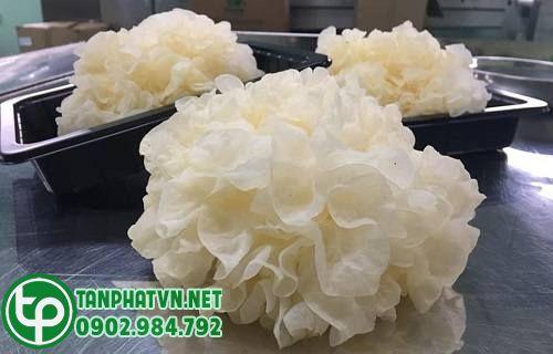 Mua Nấm Tuyết Khô Tại Quận 6 Ở Đâu