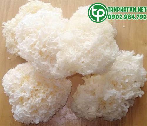 Địa điểm phân phối nấm tuyết khô ở đâu tại Tiền Giang