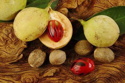 Mua nhục đậu khấu ở đâu? Mua nhục đậu khấu ở đâu?