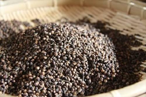 Mua nụ vối ở đâu? Mua nụ vối ở đâu?