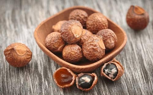 Mua bồ hòn ở đâu? Mua bồ hòn ở đâu?