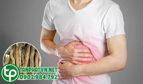 Mua Rễ Cau Khô Tại Cà Mau