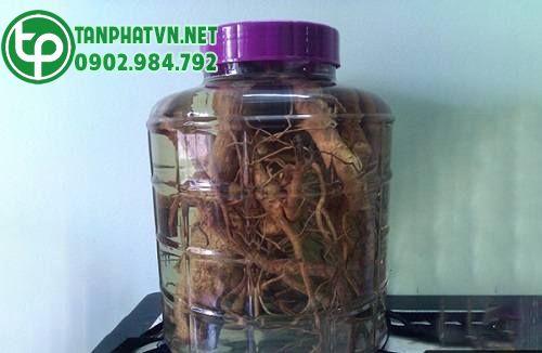 Mua Rễ Cau Khô Tại Nam Định Mua Rễ Cau Khô Tại Nam Định