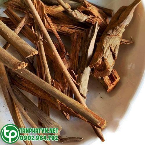 Nơi phân phối rễ cau khô tại Long An chất lượng cao