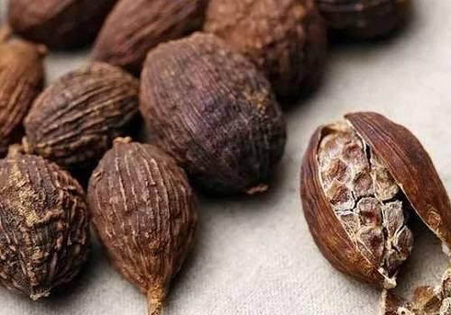 sa nhân khô dùng làm thuốc trị bệnh sa nhân khô dùng làm thuốc trị bệnh