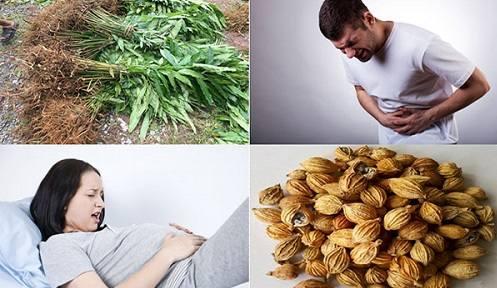 Tác dụng của sa nhân Tác dụng của sa nhân
