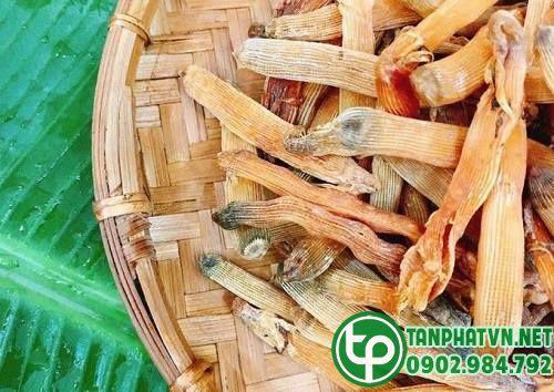 NƠI BÁN SÁ SÙNG KHÔ TẠI Tây Ninh NƠI BÁN SÁ SÙNG KHÔ TẠI TÂY NINH ĐẢM BẢO CHẤT LƯỢNG