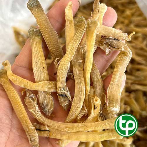Nơi bán sá sùng tại Kiên Giang ở đâu uy tín