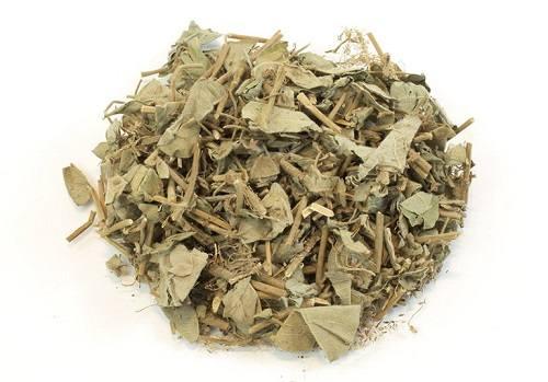 Dùng tang ký sinh khô trị bệnh Dùng tang ký sinh khô trị bệnh