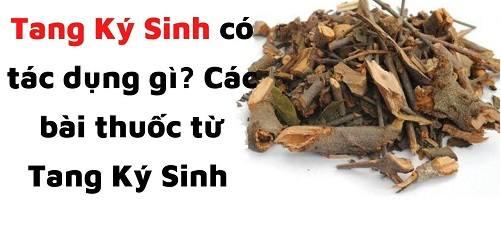 Tác dụng của tang ký sinh Tác dụng của tang ký sinh