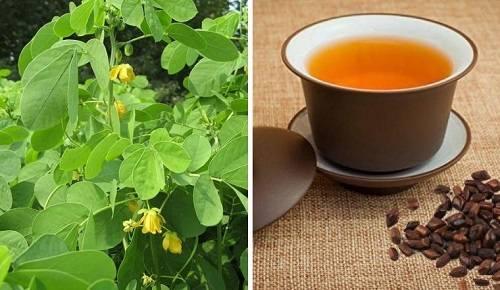 Tác Dụng Của Thảo Minh Quyết Tác Dụng Của Thảo Minh Quyết