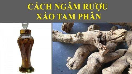 ngâm rượu xáo tam phân