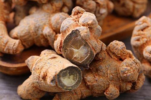 Mua tam thất bắc ở đâu? Mua tam thất bắc ở đâu?