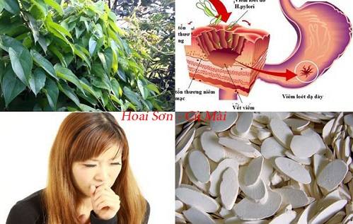 Tác dụng của hoài sơn 