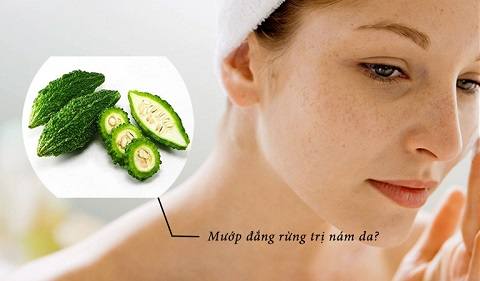 Tác dụng của khổ qua rừng 
