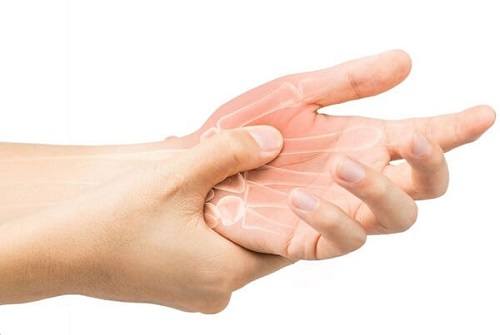 Tác dụng của khương hoạt Tác dụng của khương hoạt