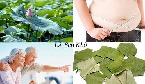 Tác dụng của lá sen Tác dụng của lá sen