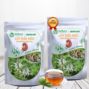 Cây râu mèo là gì?, Tác dụng, Cách sử dụng, Mua cây râu mèo ở đâu?