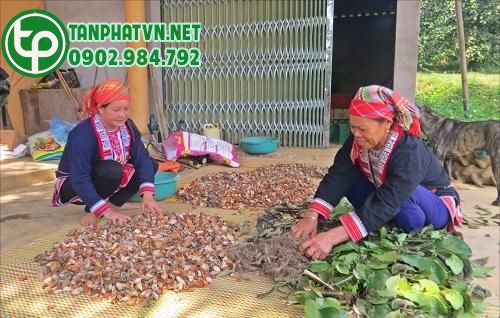 Bài thuốc tắm người Dao đỏ