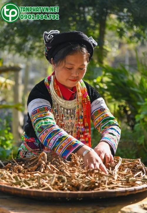 Bài thuốc tắm người Dao đỏ