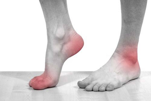 Tác dụng của tơm trơng trong trị bệnh Tác dụng của tơm trơng trong trị bệnh