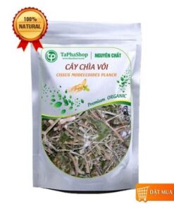 Cây chìa vôi tại Tấn Phát