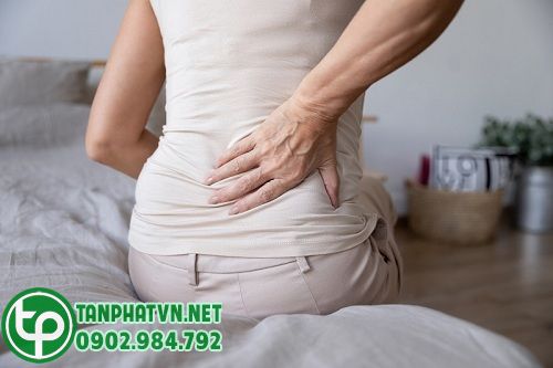 Cây chìa vôi trị thoát vị đĩa đệm