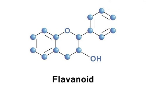 Flavonoid là gì?, Những thực phẩm giàu flavonoid tốt cho cơ thể?