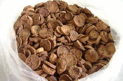 Nơi mua hạt cau khô chất lượng tại Cần Thơ Nơi mua hạt cau khô chất lượng tại Cần Thơ