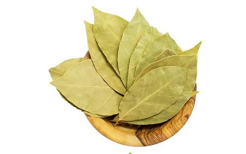 Lá nguyệt quế là gì ? Lá nguyệt quế là gì ?