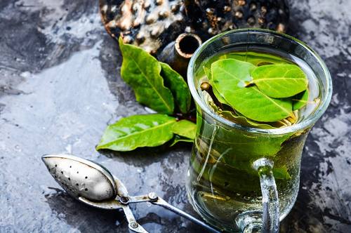 Công dụng của lá nguyệt quế 