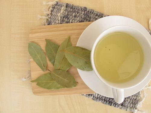 Pha trà nguyệt quế Pha trà nguyệt quế