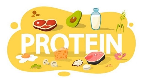 Protein là gì?, Những thực phẩm giàu protein tốt cho cơ thể?