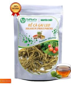 Rễ cà gai leo tại Tấn Phát