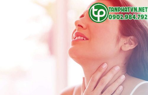 Rễ cà gai leo trị viêm họng