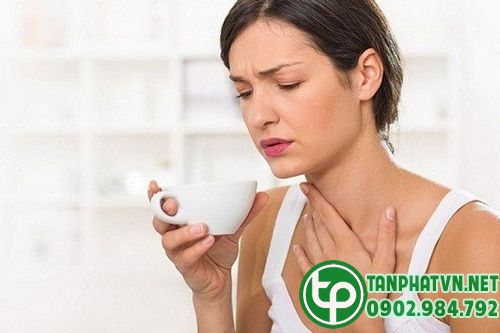 Rễ cà gai leo trị ho, viêm họng