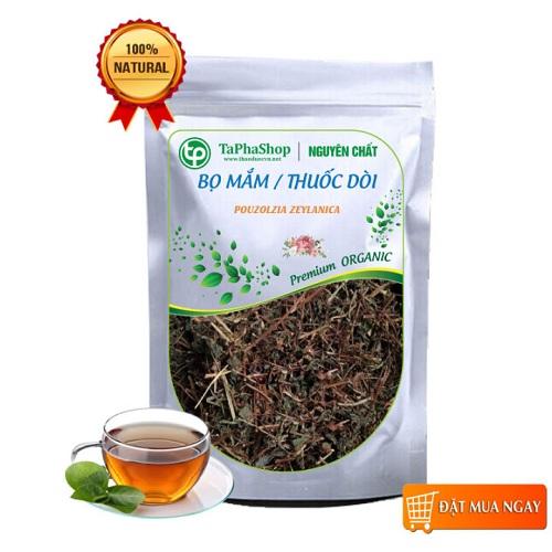 Cây thuốc dòi ( bọ mắm ) tại Tấn Phát