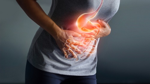 Hạt đười ươi giúp nhuận tràng