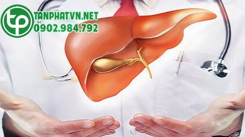 Mướp gai trị các bệnh gan