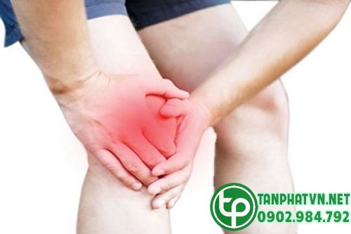 Mướp gai điều trị đau nhức xương khớp