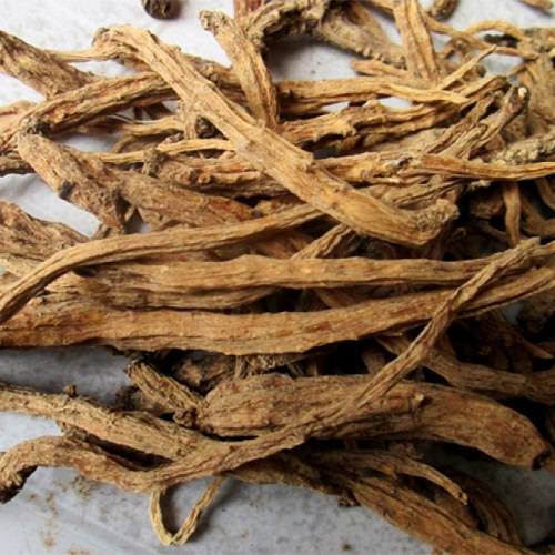 Đặc điểm của đẳng sâm 