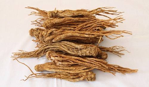 Nơi phân phối đẳng sâm chất lượng tại Bình Tân
