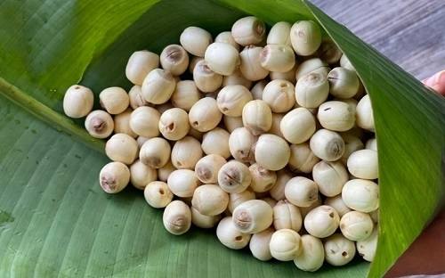 Đặc điểm của hạt sen ? Đặc điểm của hạt sen ?