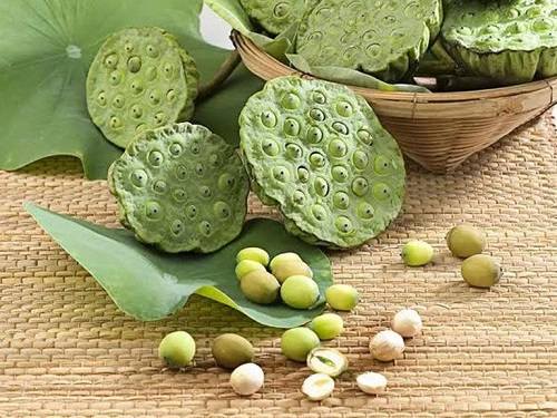 Hạt sen nguyên chất Hạt sen nguyên chất