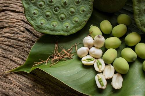 Hạt sen tươi nguyên chất