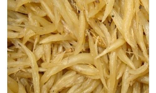 Nơi bán thiên môn đông chất lượng tại Kiên Giang 
