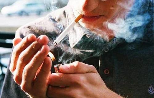 Thiên môn đông có tác dụng gì? Thiên môn đông có tác dụng gì?