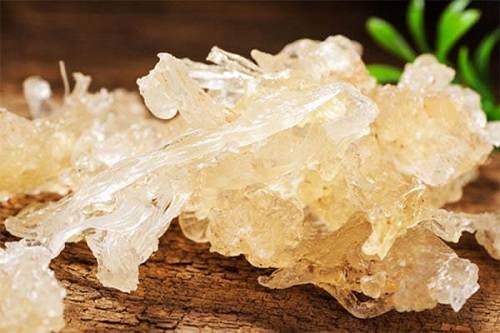 Tuyết yến Tấn Phát Tuyết yến Tấn Phát