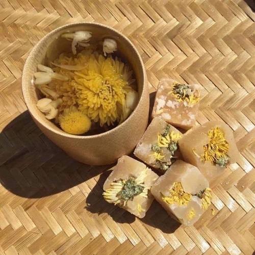 Cách pha viên trà hoa cúc đường phèn đúng cách? Cách pha viên trà hoa cúc đường phèn đúng cách?